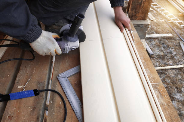 Best Vinyl Siding Installation  in Carnesville, GA
