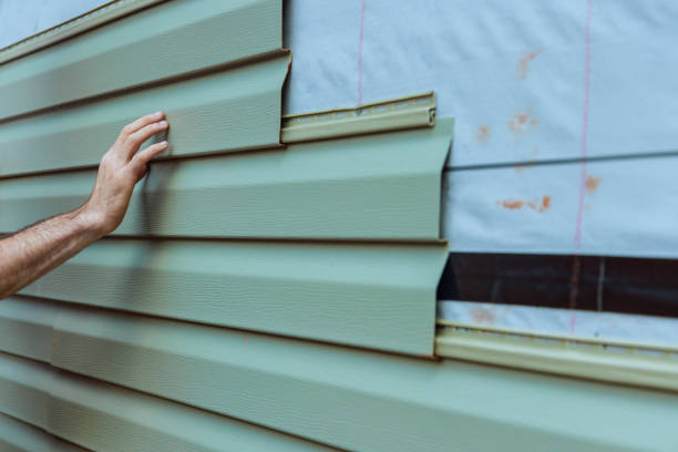 Best Vinyl Siding Installation  in Carnesville, GA